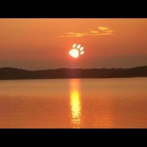 Meet your Posher, Randy